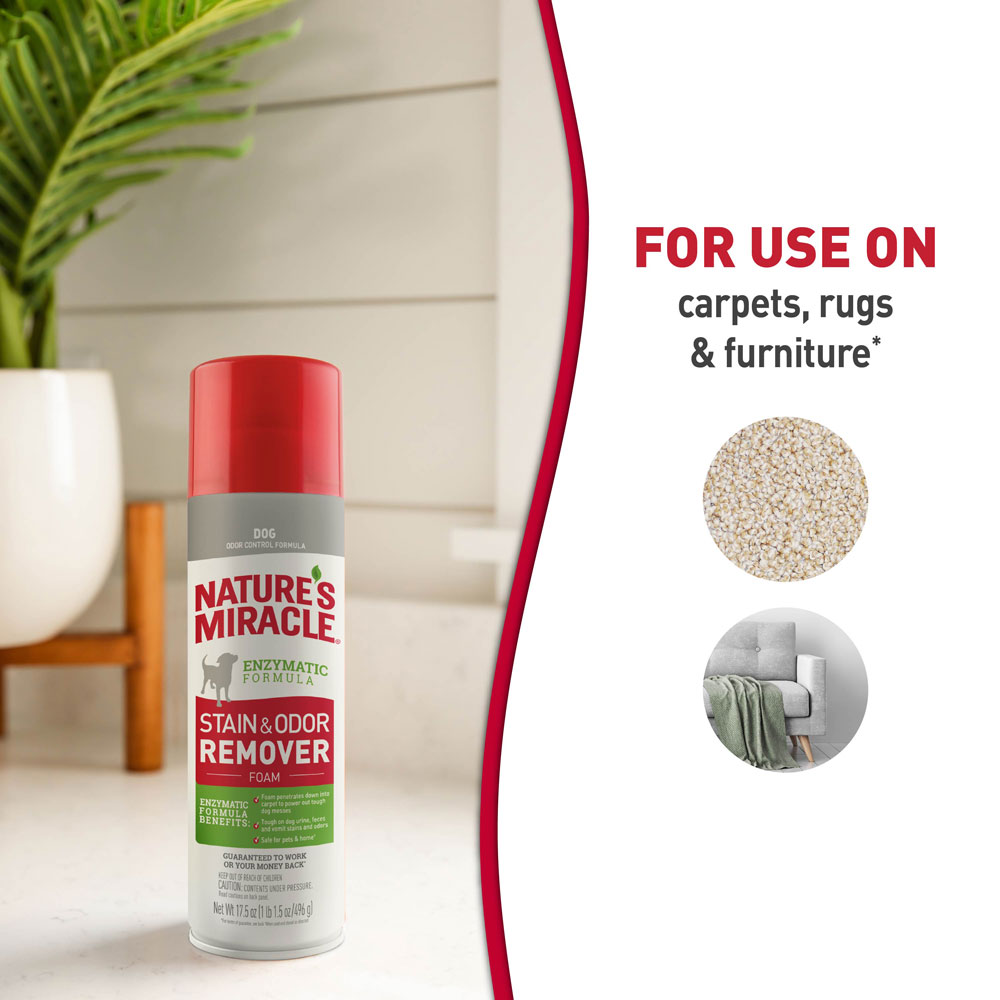 Nature's miracle cheap stain remover
